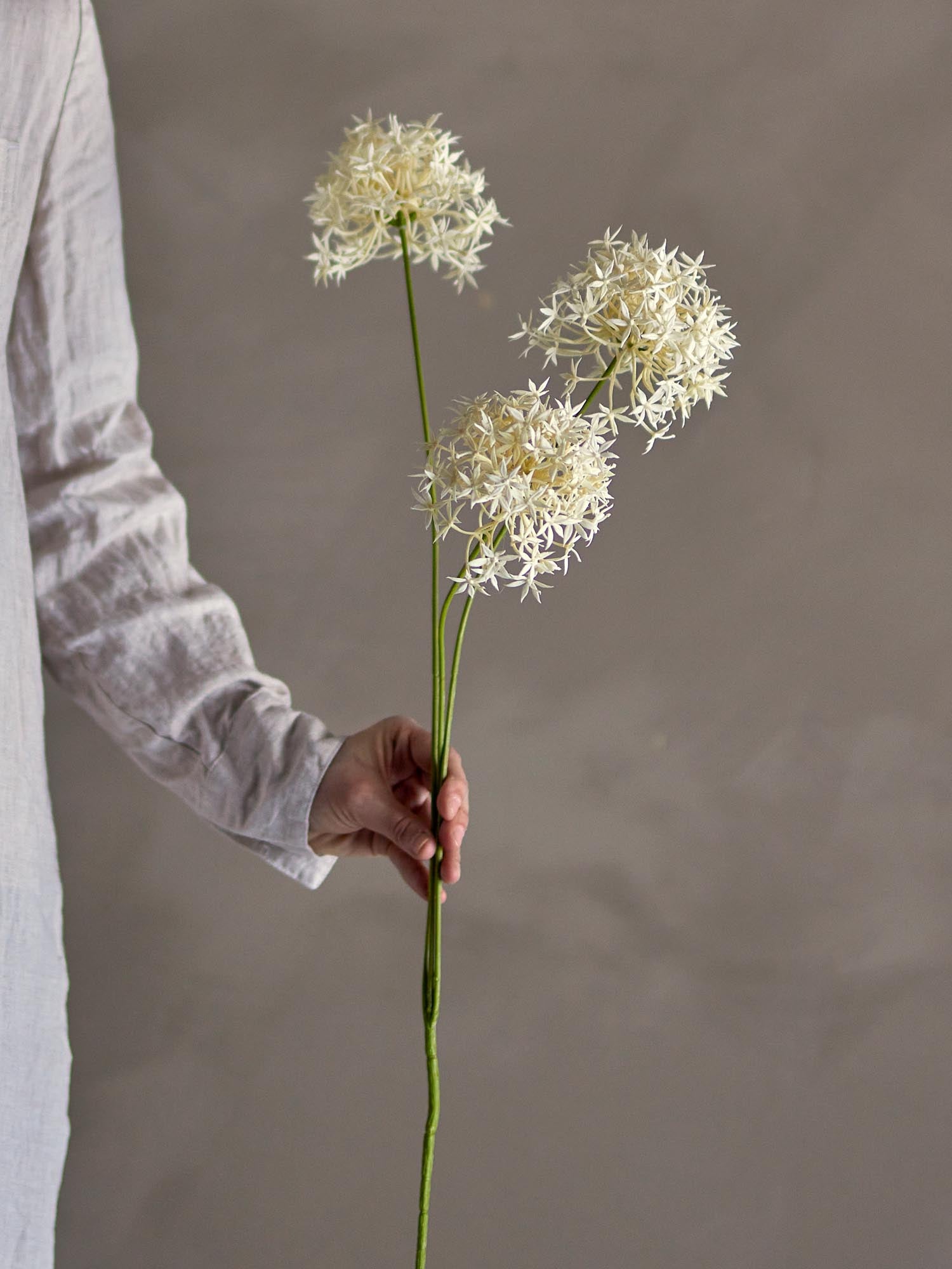 Der weisse Allium Stiel von Bloomingville bringt elegante, pflegeleichte Blütenpracht in Ihr Zuhause.