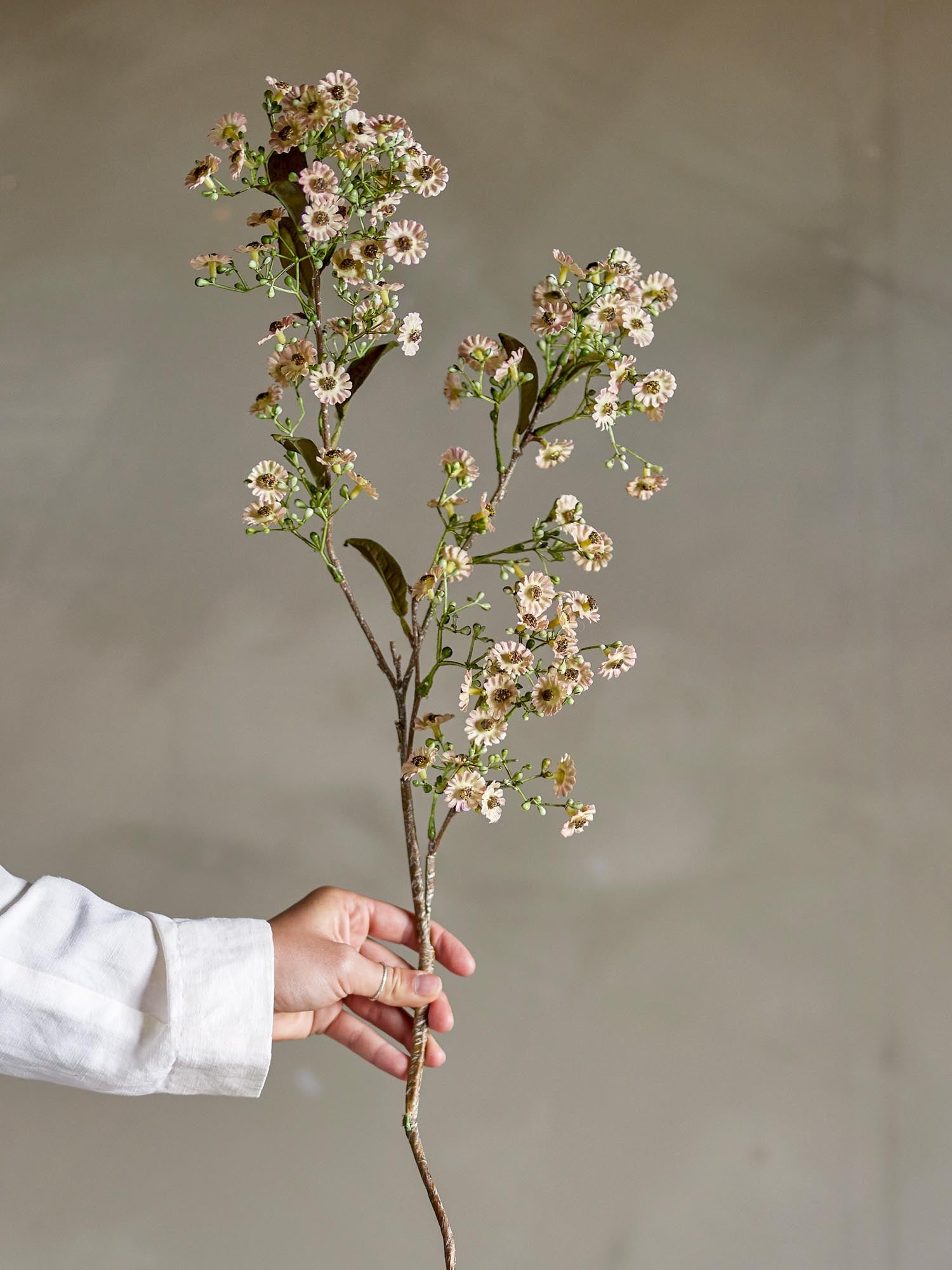 Eleganter Waxflower Stiel in Weiss von Bloomingville – pflegeleichte, naturgetreue Blütenpracht für stilvolle Dekoration.