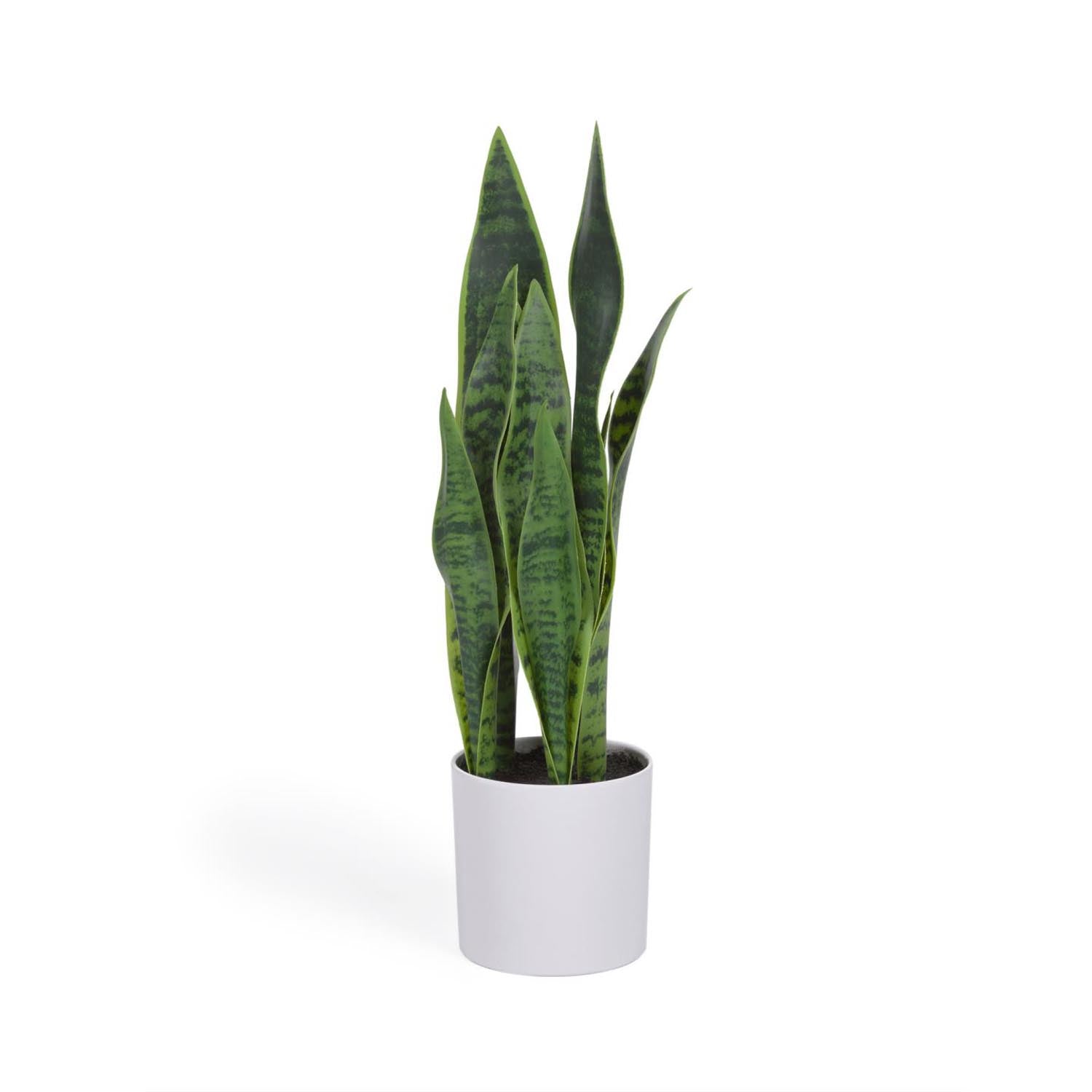 Sansevieria Kunstpflanze 55 cm von Kave Home: pflegeleicht, langlebig, mit modernem Zementtopf. Perfekt für Wohnräume und Büros.