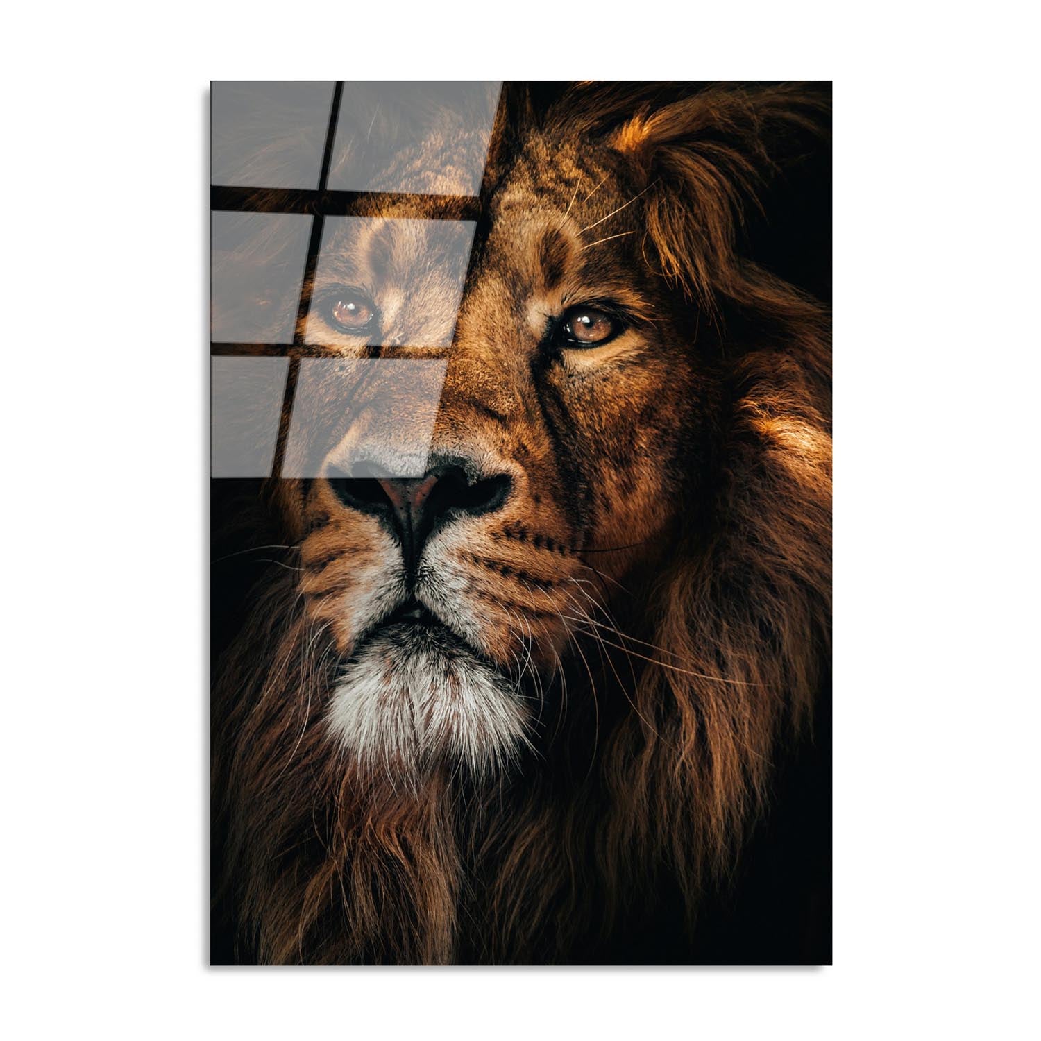 Entdecken Sie die faszinierende Schönheit des mehrfarbigen UV-Bildes von Wallity. Dieses gehärtete Glasgemälde bringt Farbe und Stil in jeden Raum!