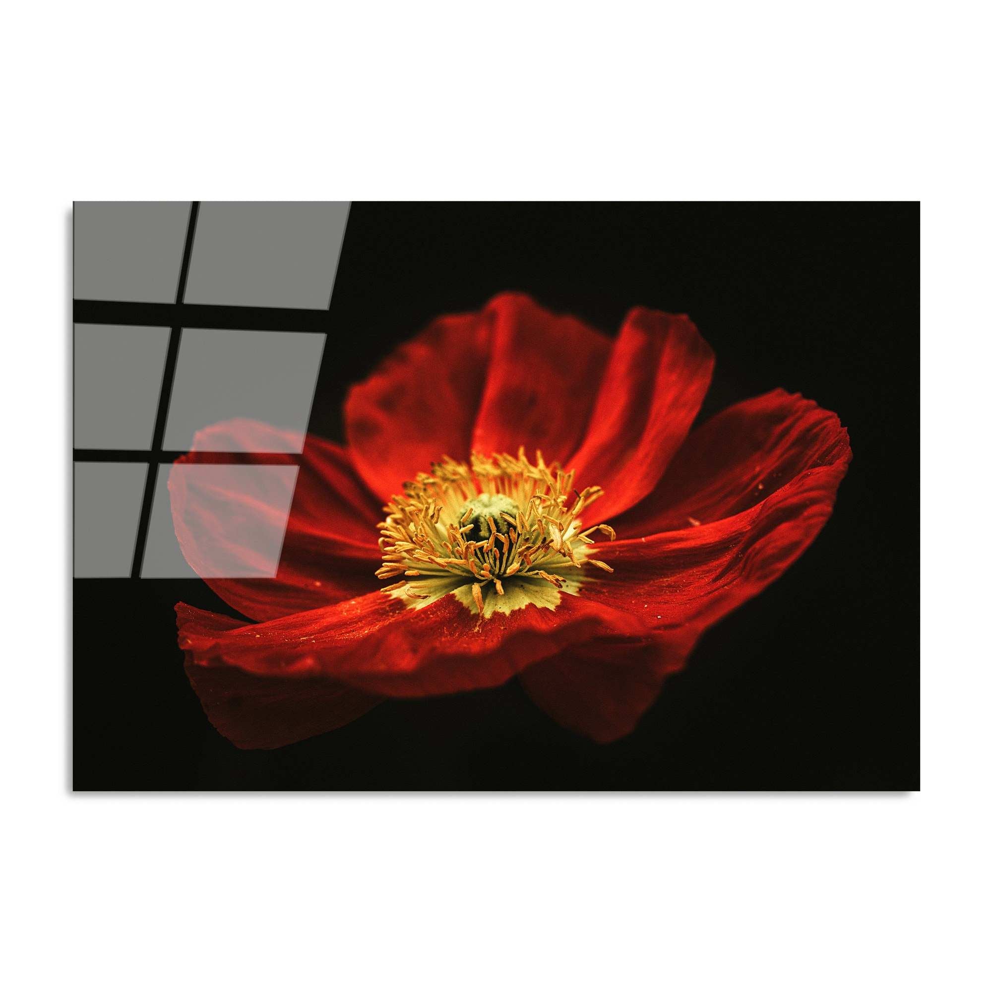 UV-204 70 x 100 in Mehrfarbig präsentiert im Onlineshop von KAQTU Design AG. Bild ist von Wallity