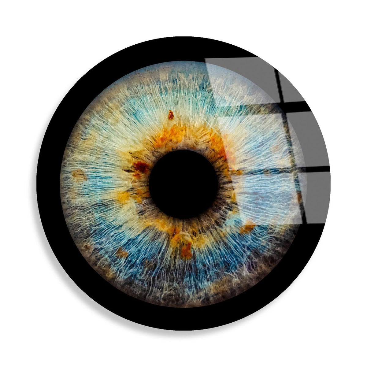 UV Bild - Mehrfarbig in Mehrfarbig präsentiert im Onlineshop von KAQTU Design AG. Bild ist von Wallity
