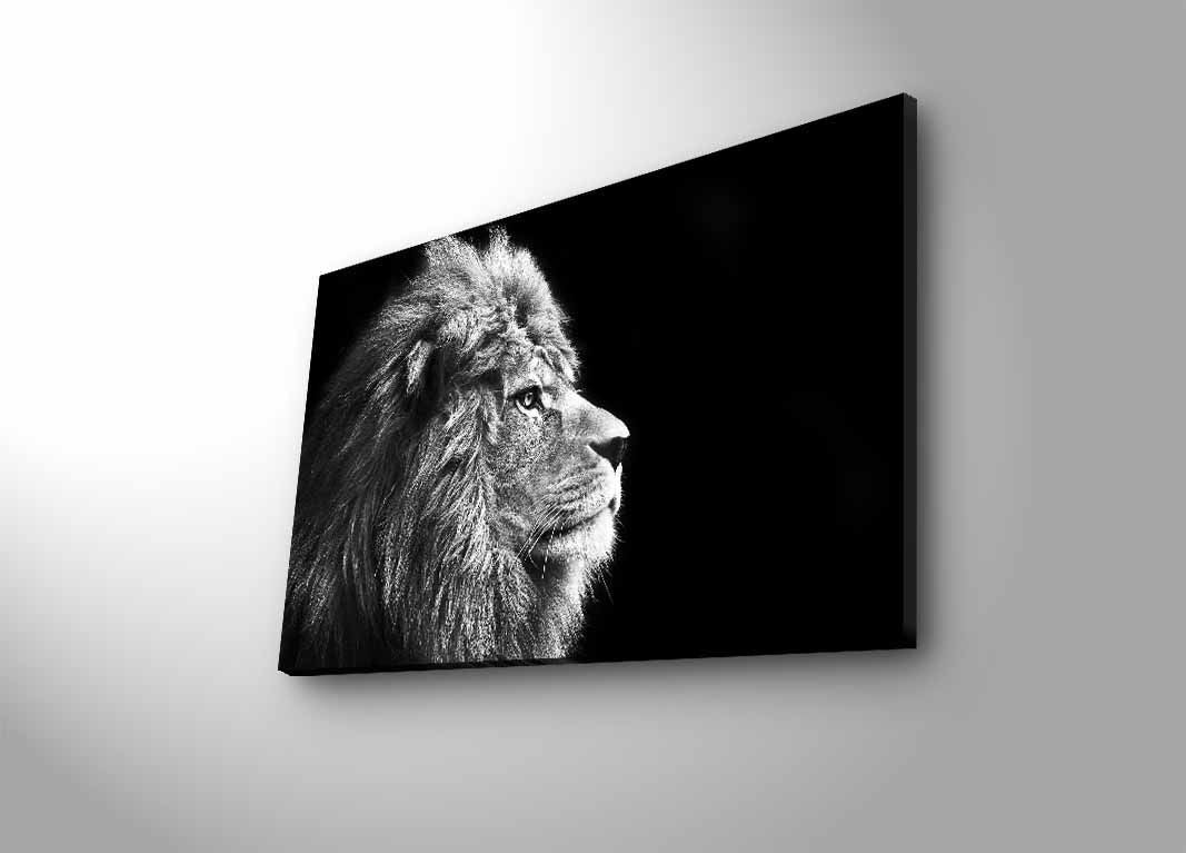 Entdecken Sie das mehrfarbige Leinwandbild 4570DHDACT von Wallity, das mit LED-Lichtern Ihr Zuhause in ein stilvolles Kunstwerk verwandelt.