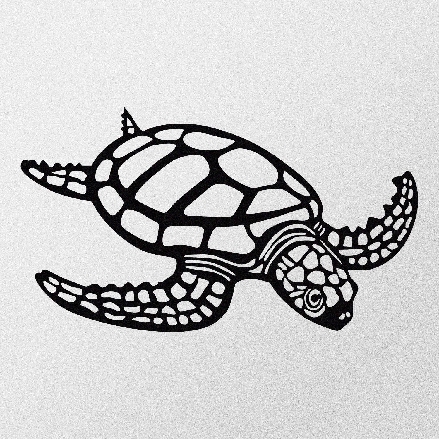 Caretta Caretta in Schwarz präsentiert im Onlineshop von KAQTU Design AG. Wanddeko ist von Wallity