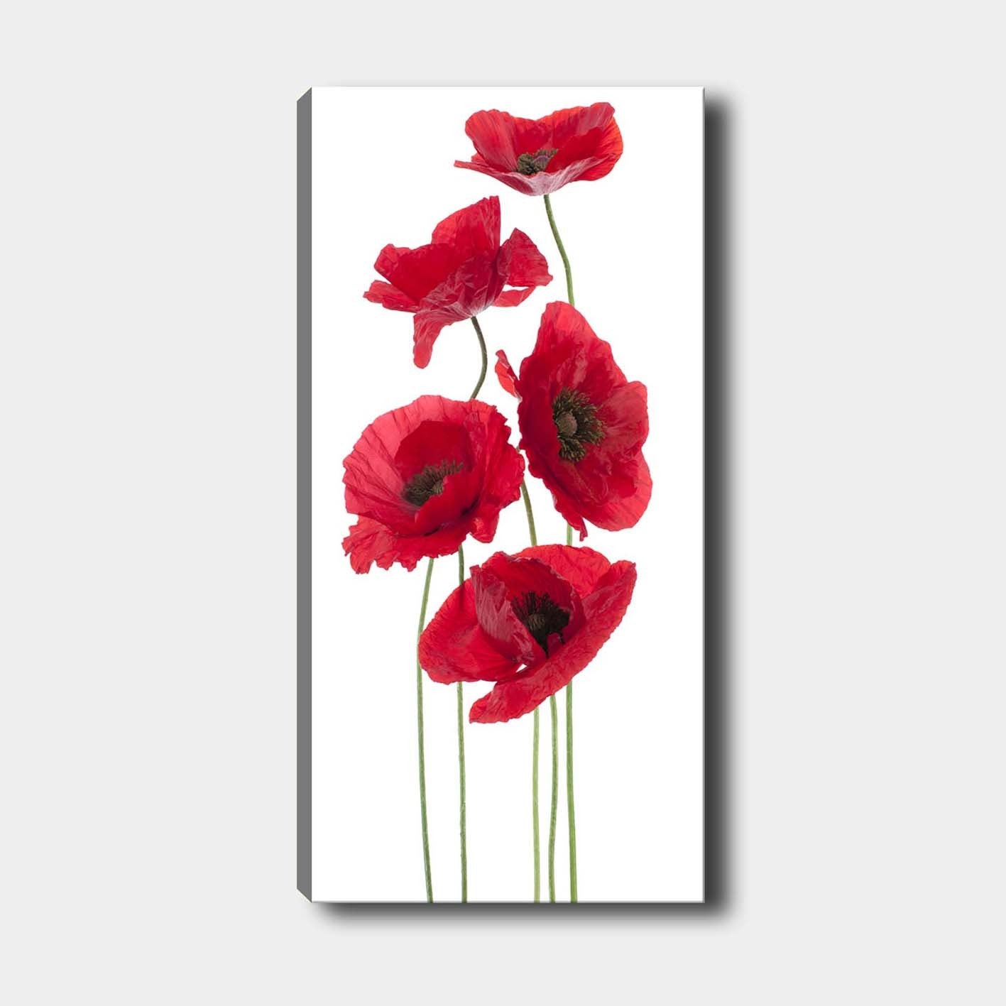 DKY128322_50120 in Mehrfarbig präsentiert im Onlineshop von KAQTU Design AG. Bild ist von Wallity