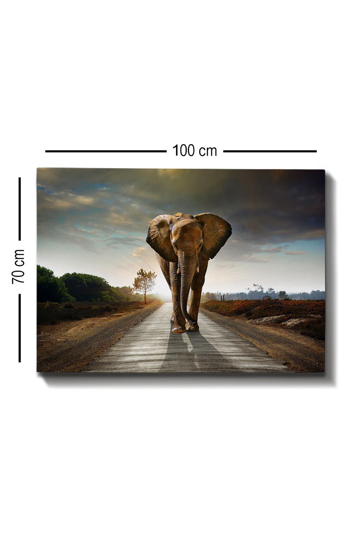 Kanvas tablo (70 x 100) Immagine - multilorato