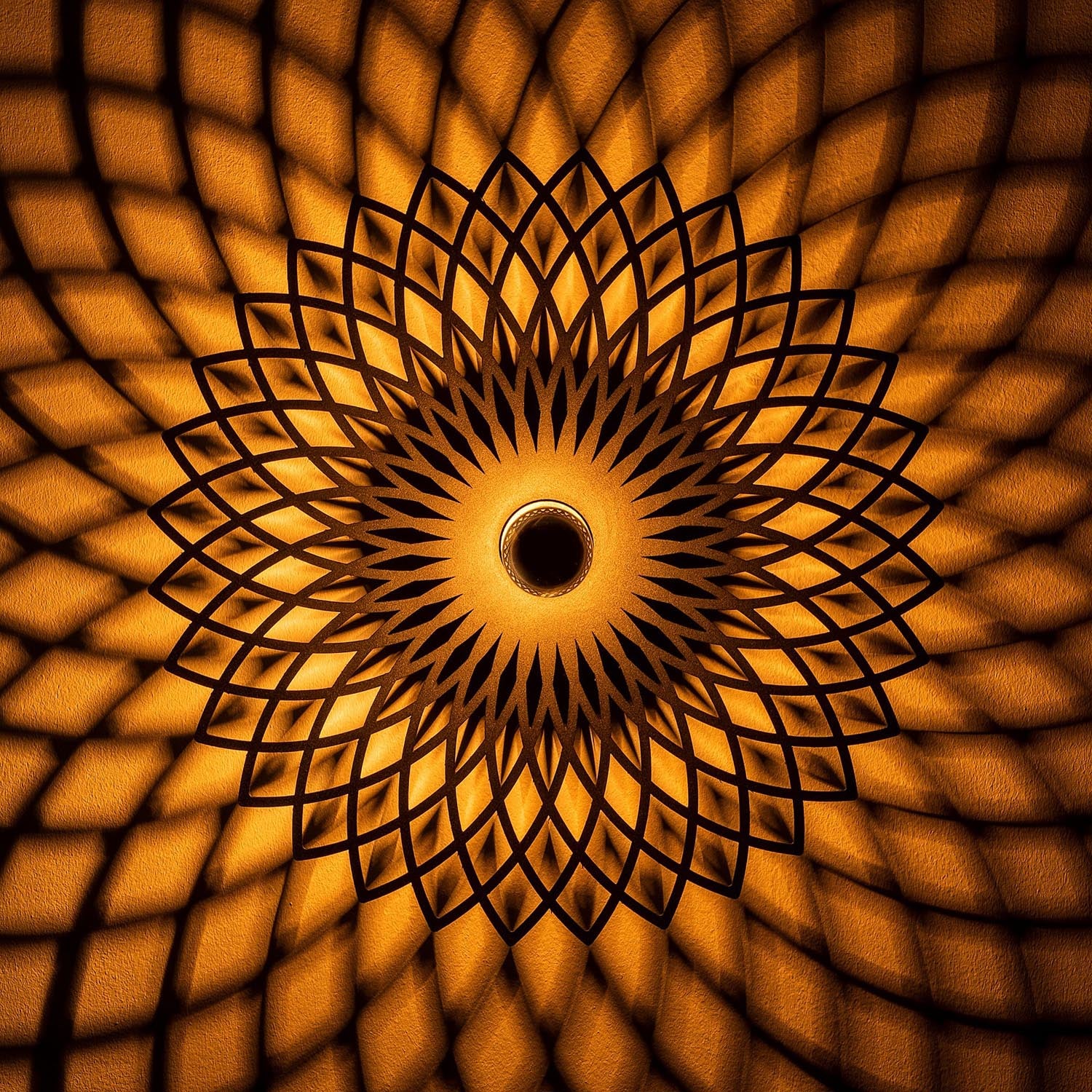 Entdecken Sie die Fellini Wandleuchte in elegantem Schwarz von Opviq. Perfekt für stilvolle Akzente in jedem Raum!