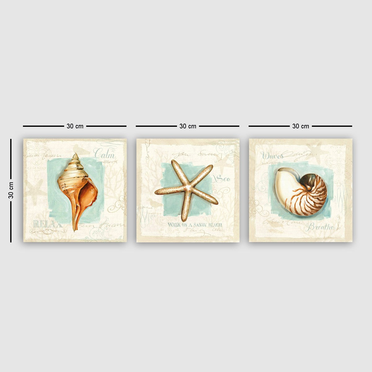 image PMDR44 - Multi-Colore