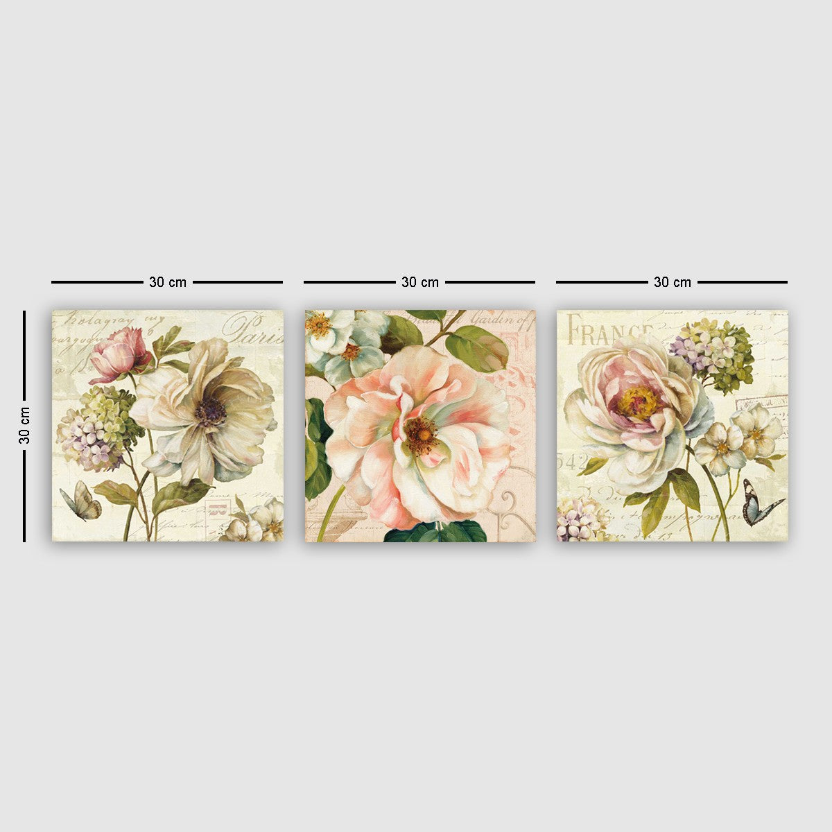 image PMDR45 - Multi-Colore