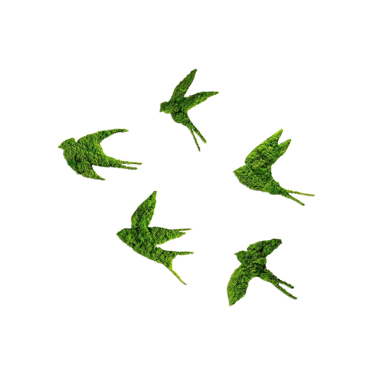 Swallows in Grün präsentiert im Onlineshop von KAQTU Design AG. Wanddeko ist von Wallity