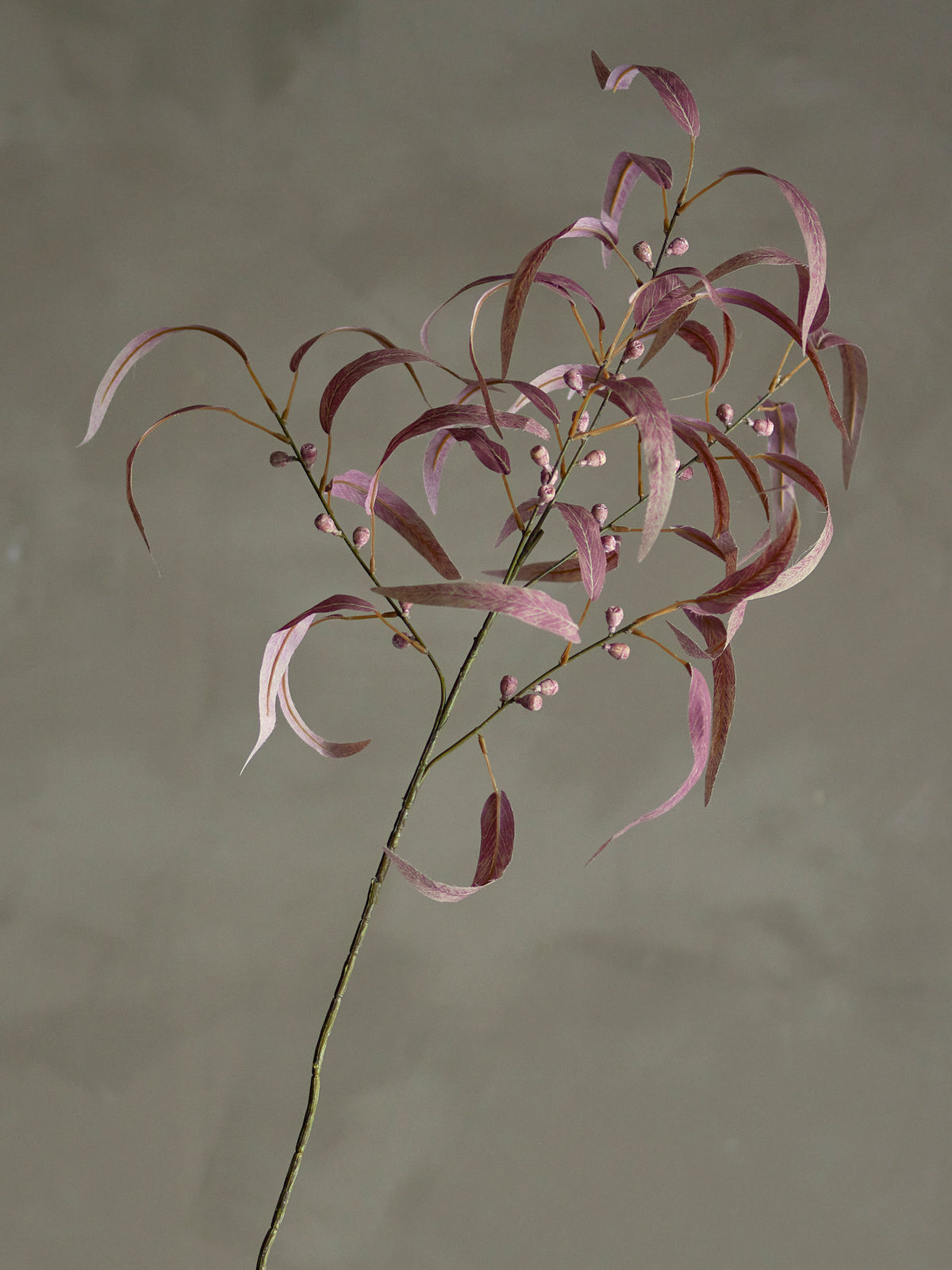 Eucalyptus Stiel, Rot, Künstliche Blumen in Rot präsentiert im Onlineshop von KAQTU Design AG. Kunstblume ist von Bloomingville