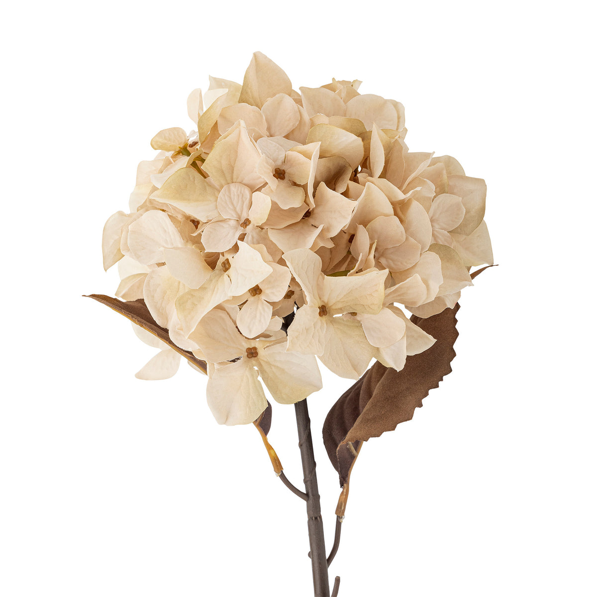 Kunstblume Hydrangea Stiel in Beige von Bloomingville, lebensechte Blüte aus PE, Eisen und Polyester, 65 cm hoch, einzeln stehend fotografiert.