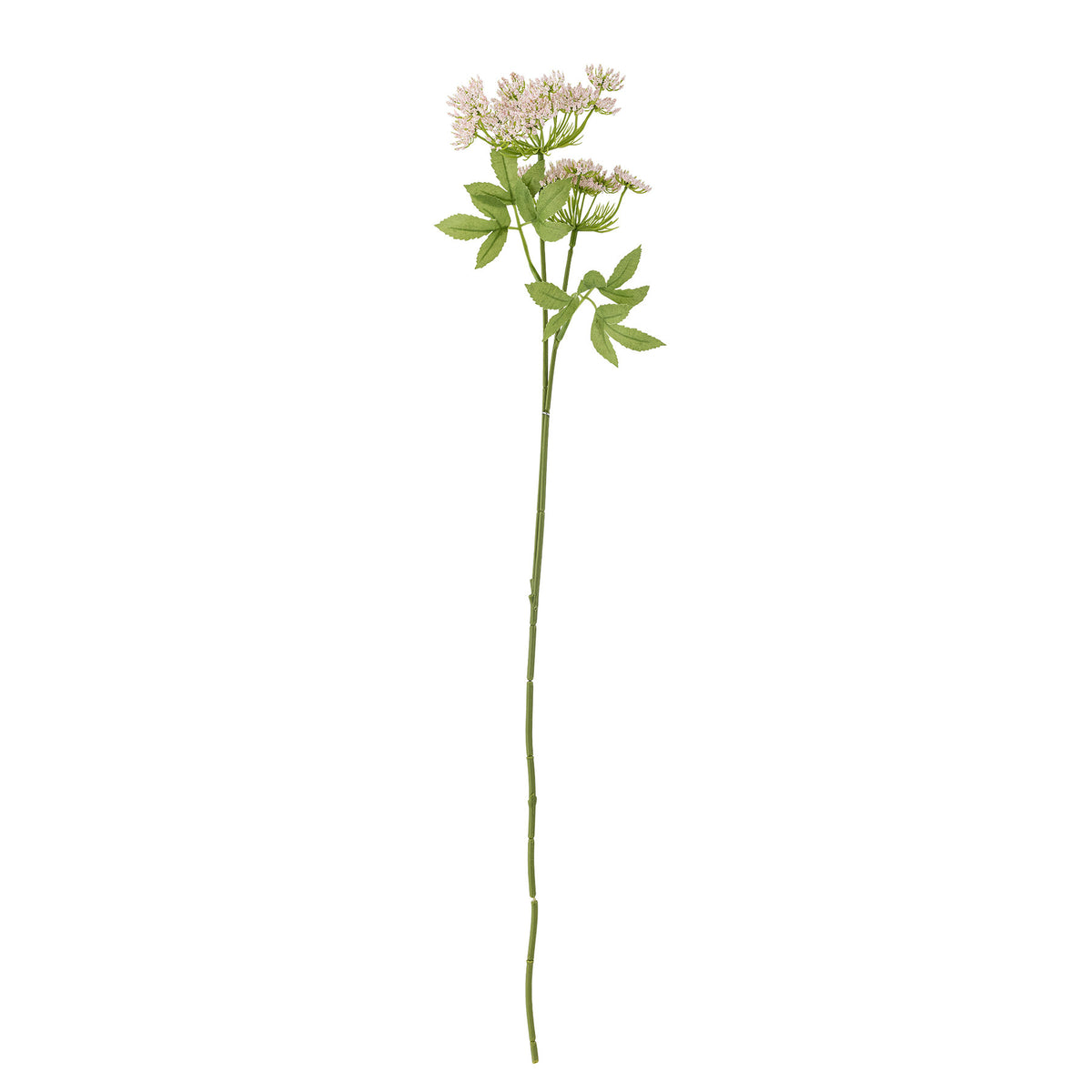 Fennel Stiel, Rose, Künstliche Blumen in Rose präsentiert im Onlineshop von KAQTU Design AG. Kunstblume ist von Bloomingville