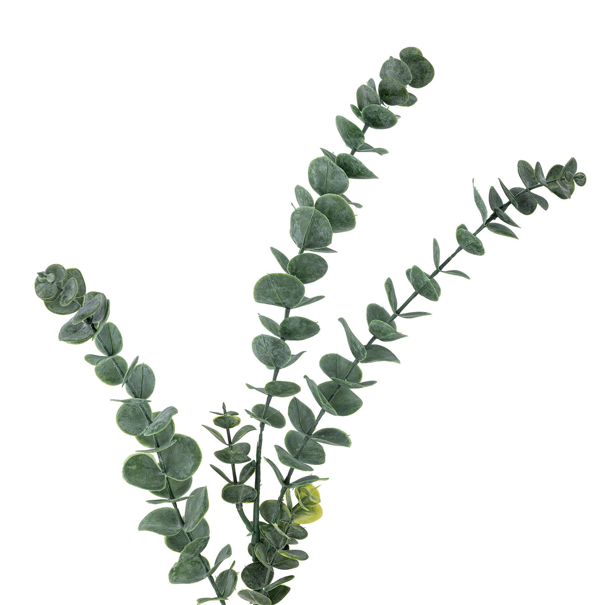 Eucalyptus Stiel, Grün, Künstliche Blumen in Grün präsentiert im Onlineshop von KAQTU Design AG. Kunstblume ist von Bloomingville