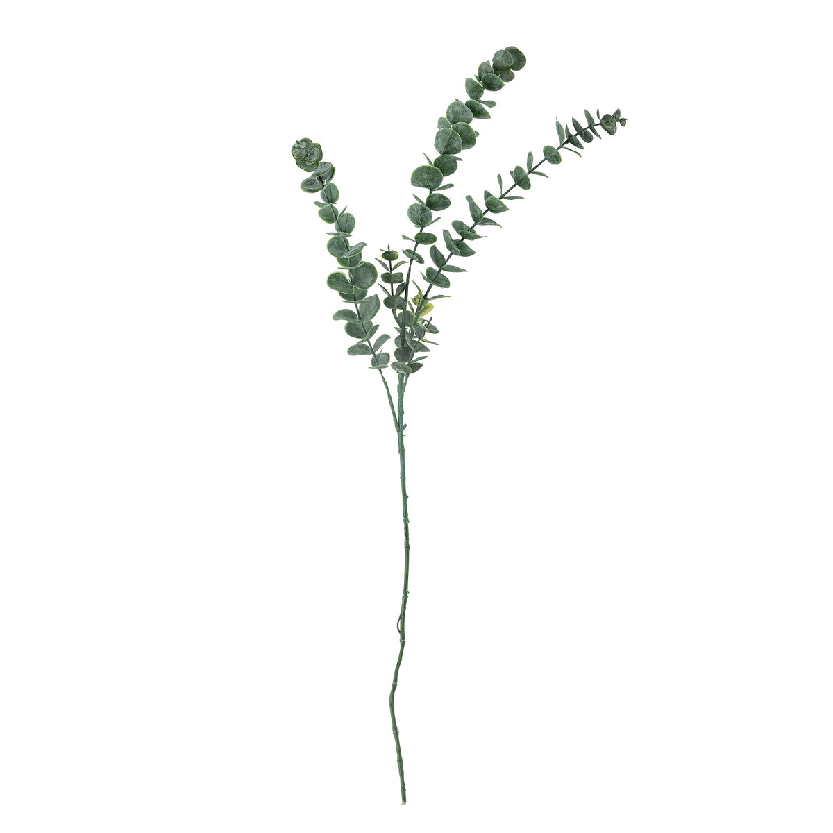 Eucalyptus Stiel, Grün, Künstliche Blumen in Grün präsentiert im Onlineshop von KAQTU Design AG. Kunstblume ist von Bloomingville