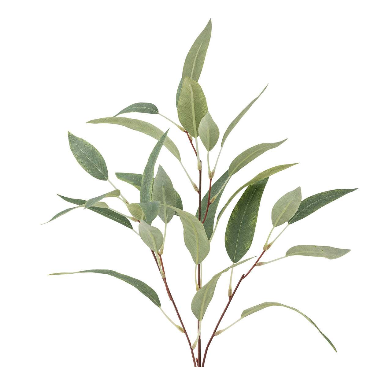 Eucalyptus Stiel, Grün, Künstliche Blumen in Grün präsentiert im Onlineshop von KAQTU Design AG. Kunstblume ist von Bloomingville