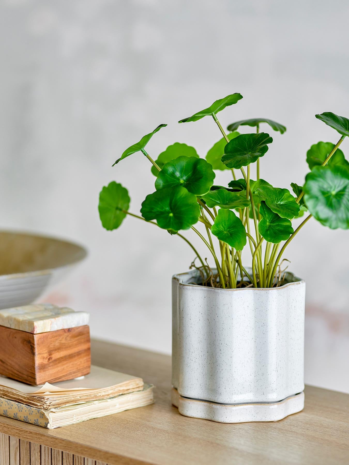 Entdecken Sie den eleganten Argyle Blumentopf von Bloomingville aus hochwertigem Steingut. Mit einzigartigem Design und reaktiver Glasur ist er der perfekte Blickfang für Ihr Zuhause.