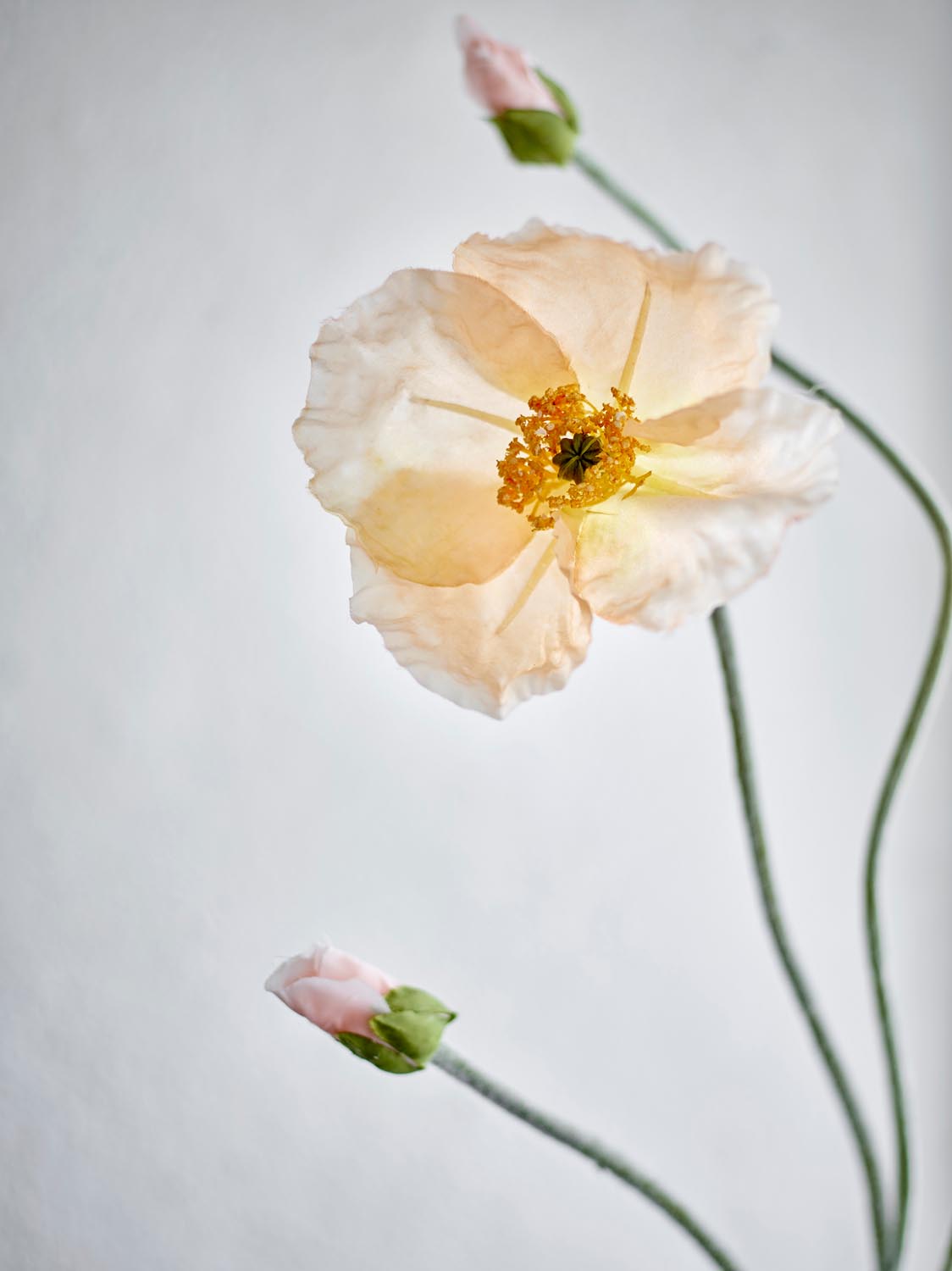 Poppy Stiel, Natur, Künstliche Blumen in Nature präsentiert im Onlineshop von KAQTU Design AG. Kunstpflanze ist von Bloomingville