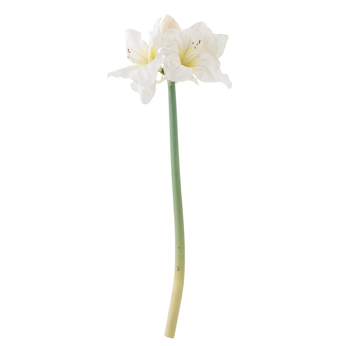 Amaryllis Stiel, Weiß, Künstliche Blumen in White präsentiert im Onlineshop von KAQTU Design AG. Kunstpflanze ist von Bloomingville