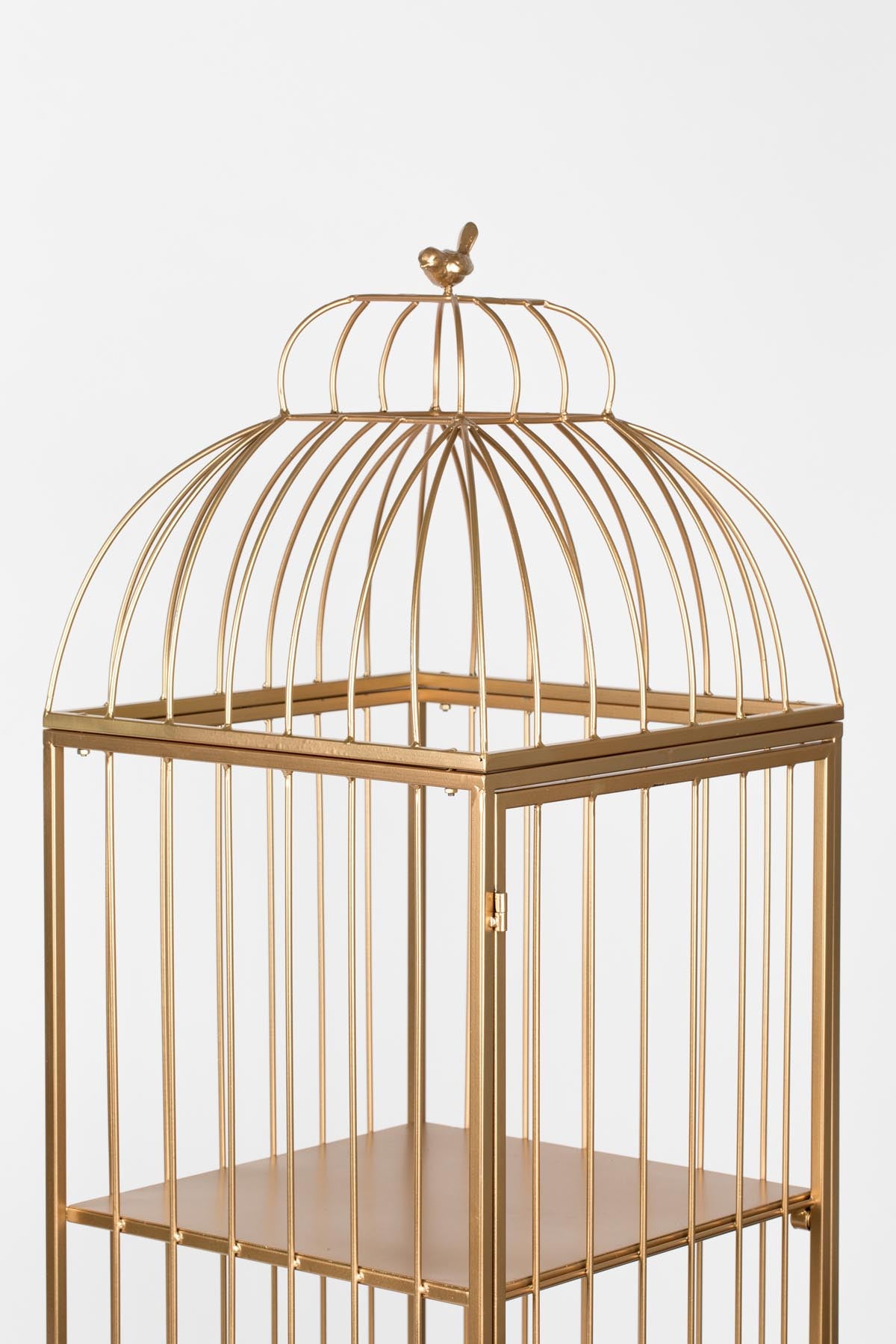 Unlock Me Cabinet in Gold präsentiert im Onlineshop von KAQTU Design AG. Standregal ist von Bold Monkey