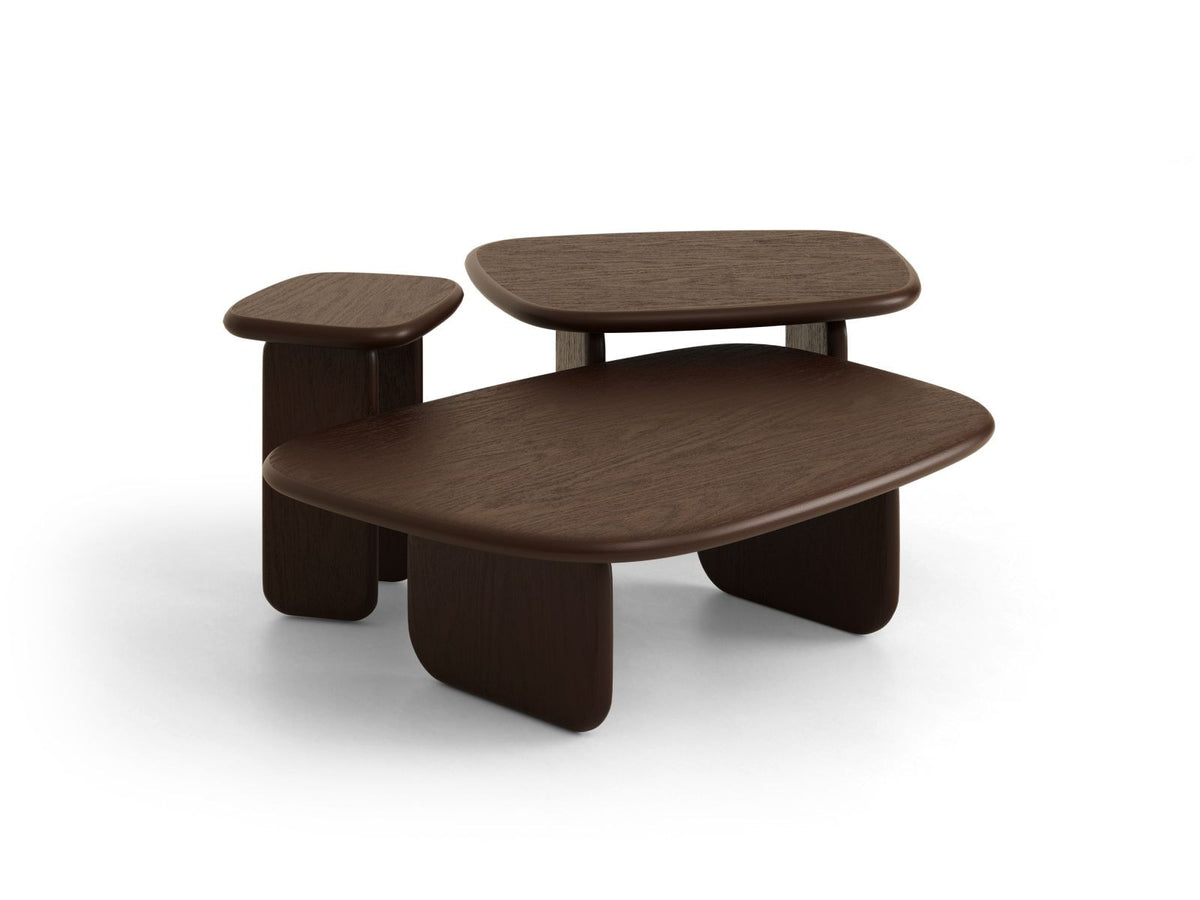 Rechteckiger Couchtisch Sora mit Eichenfurnier in Black Oak-Wood, Holzbeine, gebürstete und lackierte Oberfläche, moderne Form.