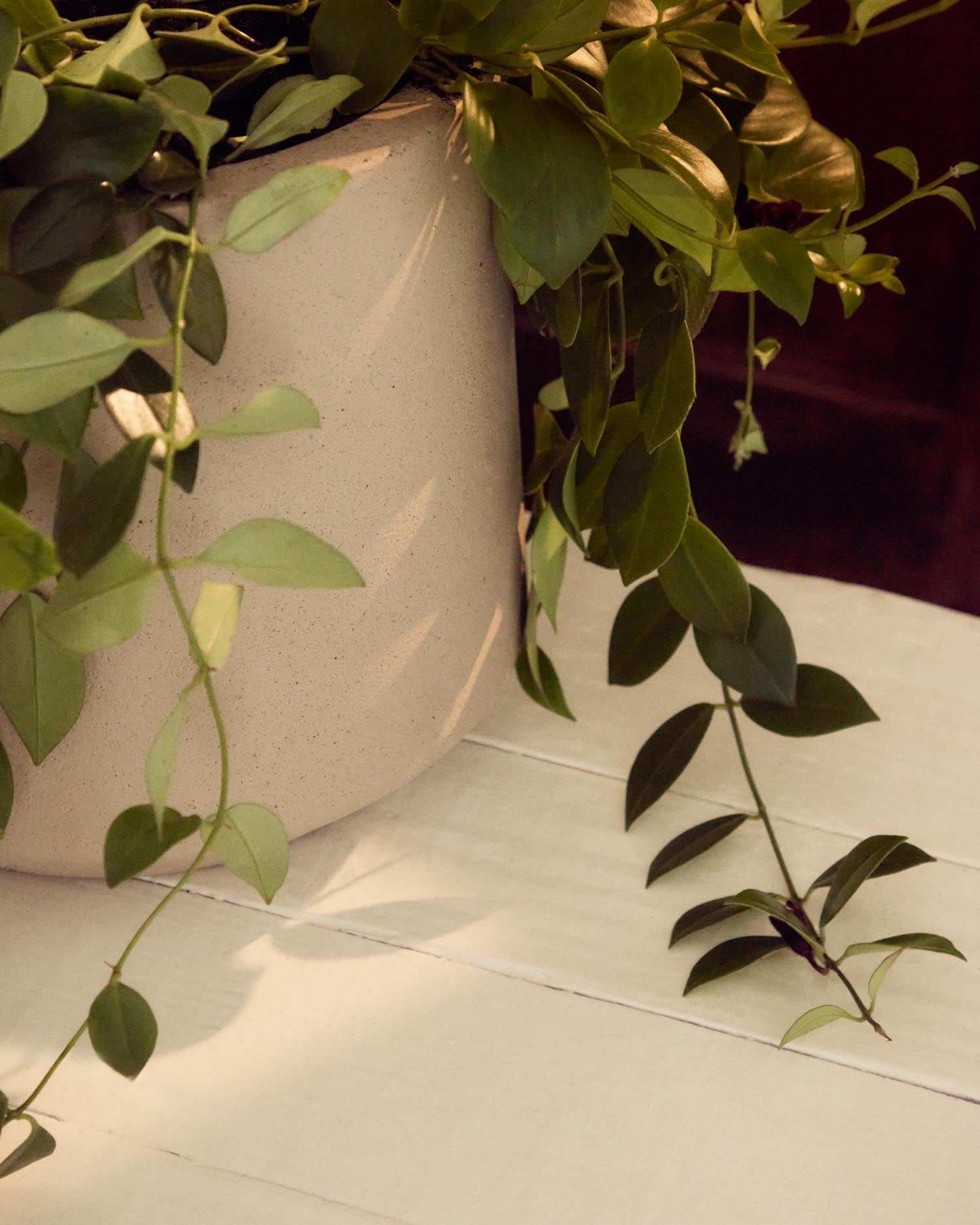 Gestalte Deine Räume mit dem stilvollen Blumentopf Calun aus robustem Beton in Beige (Ø 32 cm) von Kave Home – perfekt für jeden Wohnstil.