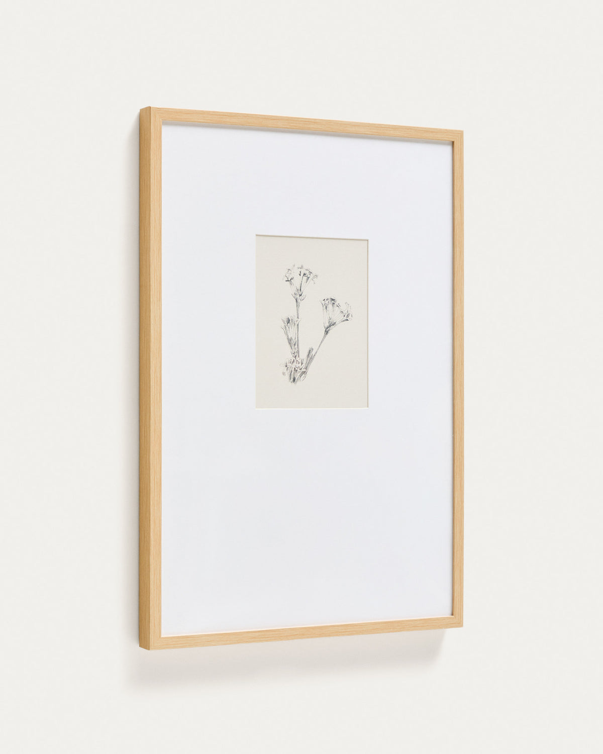 Bild Lirena, botanische Illustration, 50 x 70 cm in Beige, Weiss präsentiert im Onlineshop von KAQTU Design AG. Bild ist von Kave Home