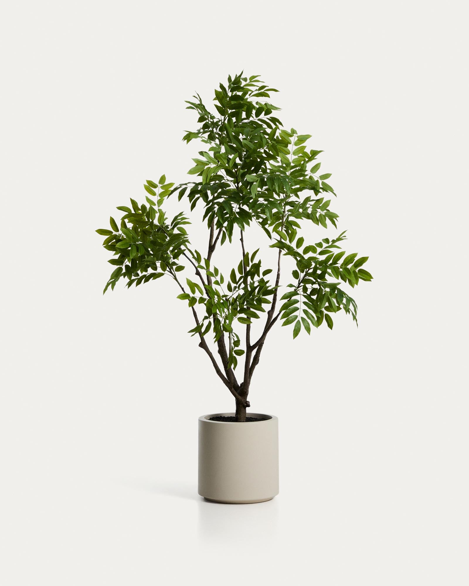 Künstlicher Essigbaum mit weissem Topf, 185 cm in Weiss präsentiert im Onlineshop von KAQTU Design AG. Kunstpflanze ist von Kave Home