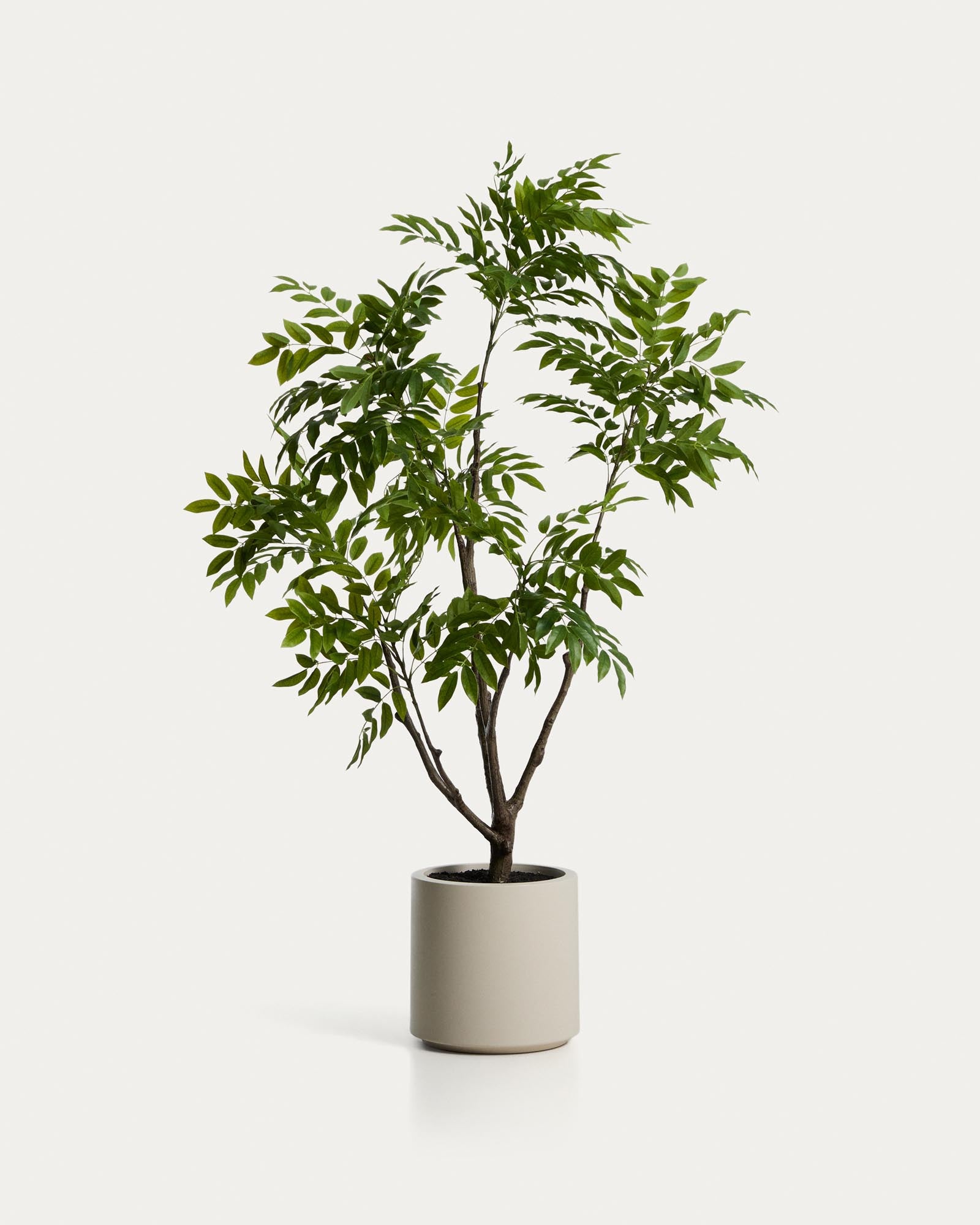 Hochwertiger künstlicher Essigbaum in einem schlichten weißen Topf, 185 cm, perfekt für eine frische und lebendige Raumgestaltung.
