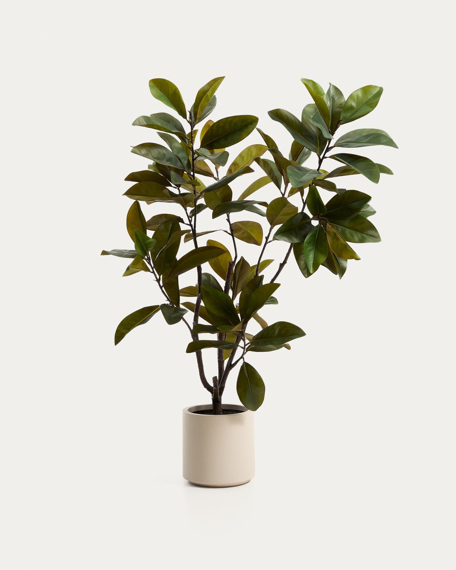 Künstlicher Magnolienbaum mit weissem Topf, 160 cm in Weiss präsentiert im Onlineshop von KAQTU Design AG. Kunstpflanze ist von Kave Home