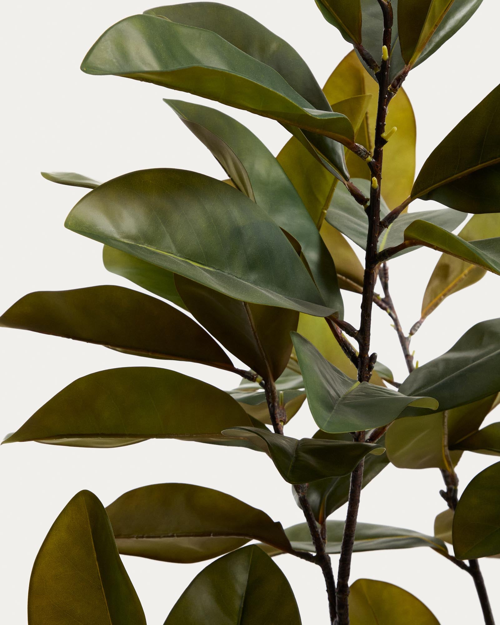 Eleganter künstlicher Magnolienbaum in einem weißen Topf, 160 cm hoch, ideal für stilvolle Innenräume und pflegeleichte Dekoration.
