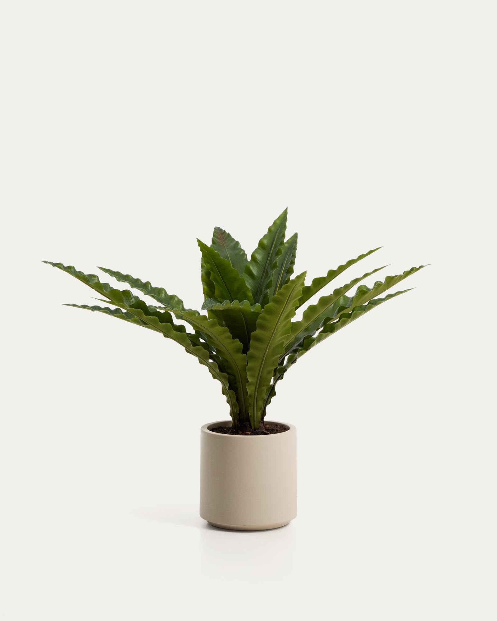 Künstlicher Nestfarn mit weissem Topf, 70 cm in Weiss präsentiert im Onlineshop von KAQTU Design AG. Kunstpflanze ist von Kave Home