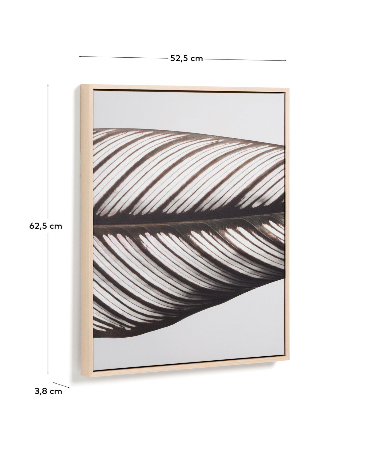 Bild Foliae – Fotografie eines Blatts, 52,5 x 62,5 cm in Weiss, Grün präsentiert im Onlineshop von KAQTU Design AG. Bild ist von Kave Home