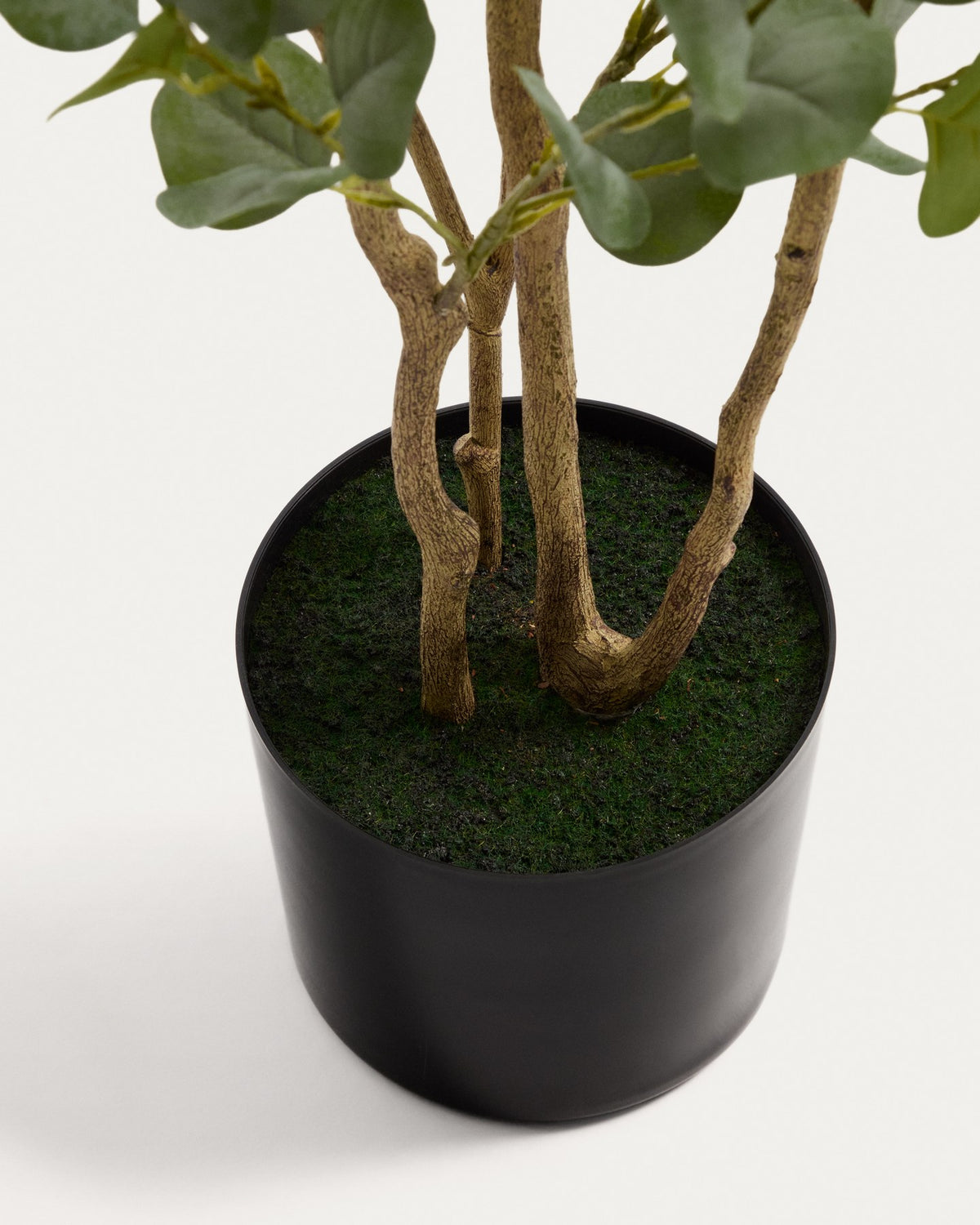 Künstlicher Eucalyptus-Baum mit schwarzem Blumentopf, 210 cm hoch, aus Polyethylen und Polyurethan, mit geschwungenen grünen Blättern.