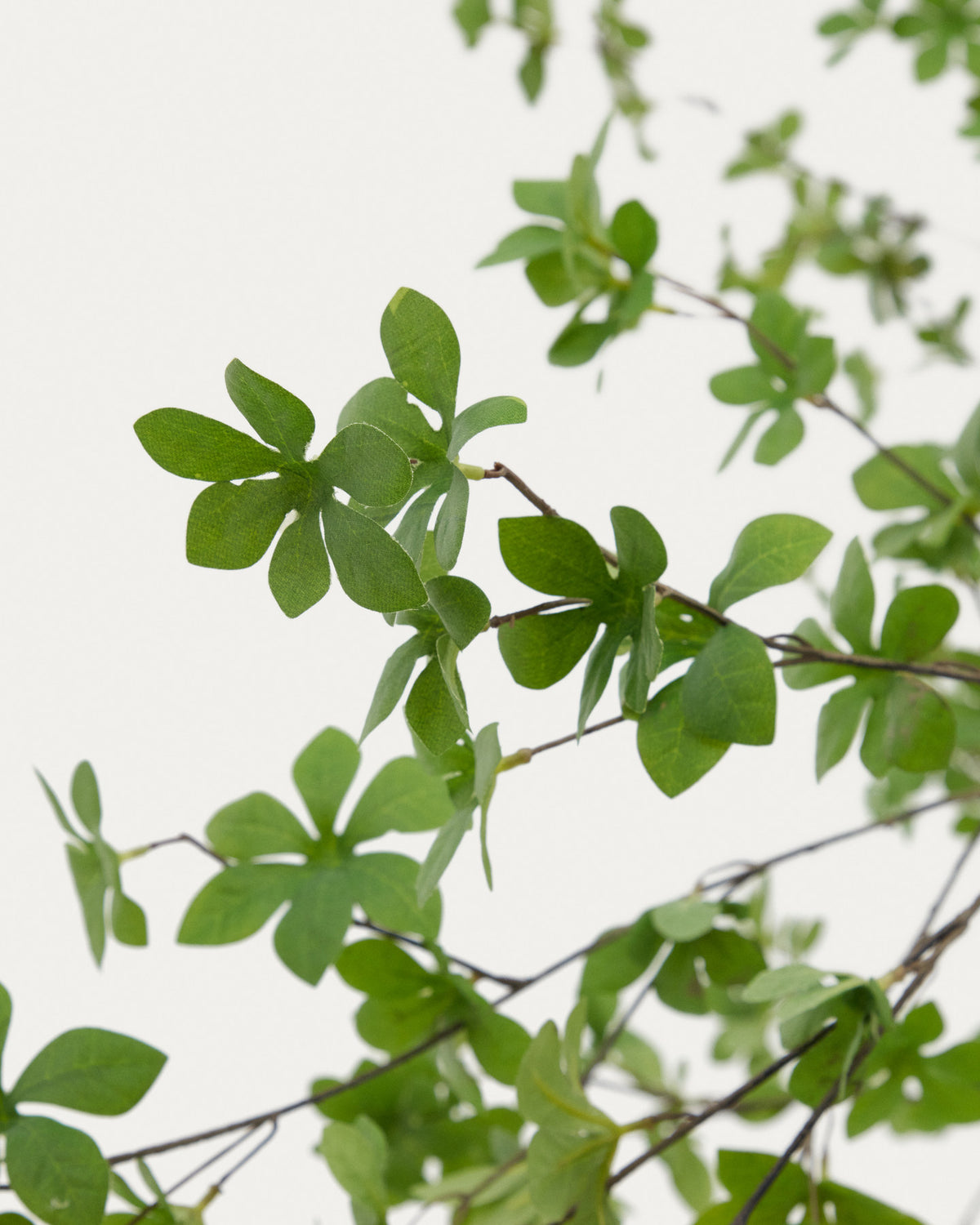 Kunstbaum Enkianthus mit schwarzem Übertopf 214 cm in Grün präsentiert im Onlineshop von KAQTU Design AG. Kunstpflanze ist von Kave Home