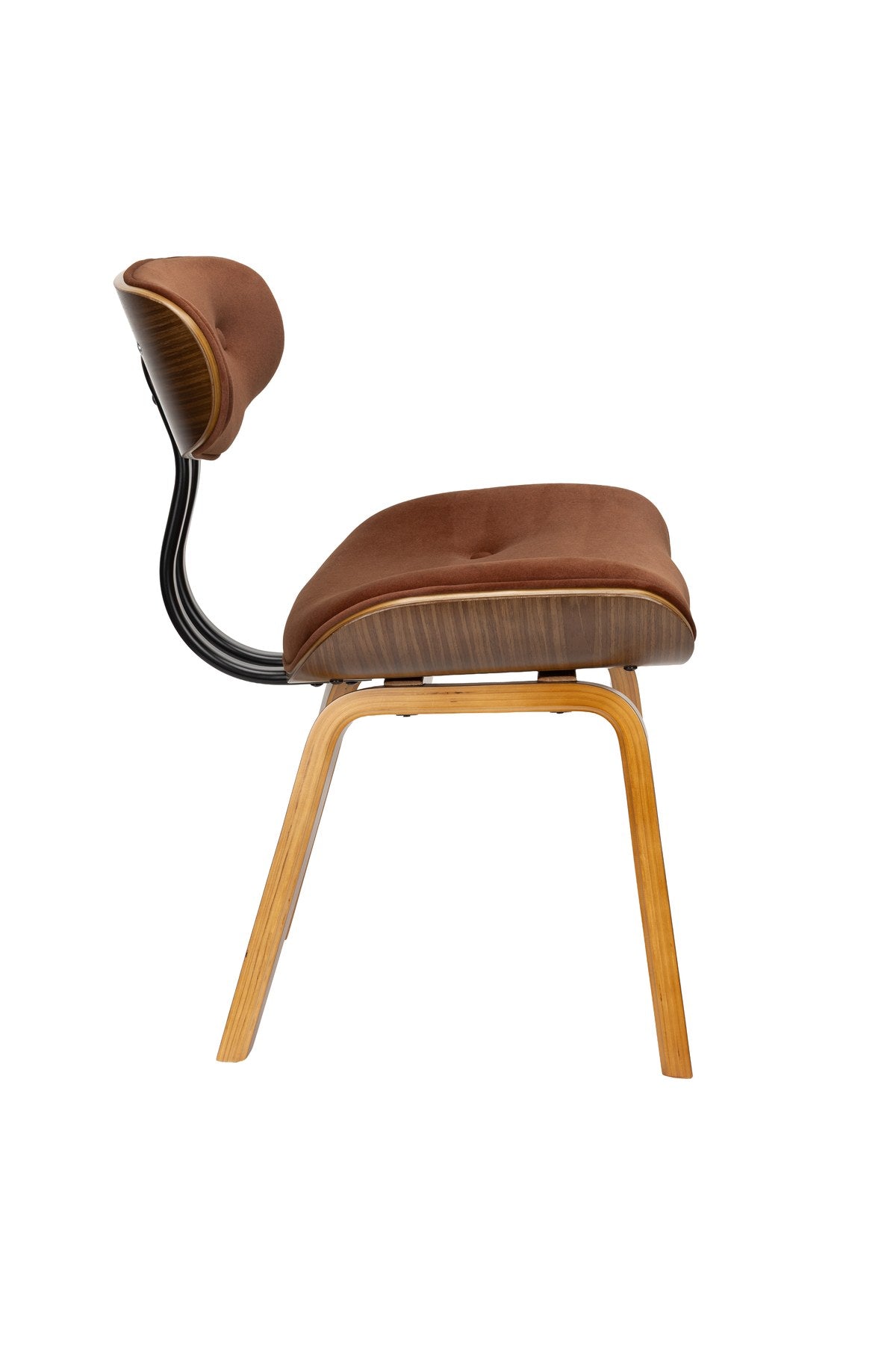 Gepolsterter Esszimmerstuhl Blackwood in Braun mit Rückenlehne aus Polyester, Sitzfläche aus Pappelholz und dunklem Holzgestell.