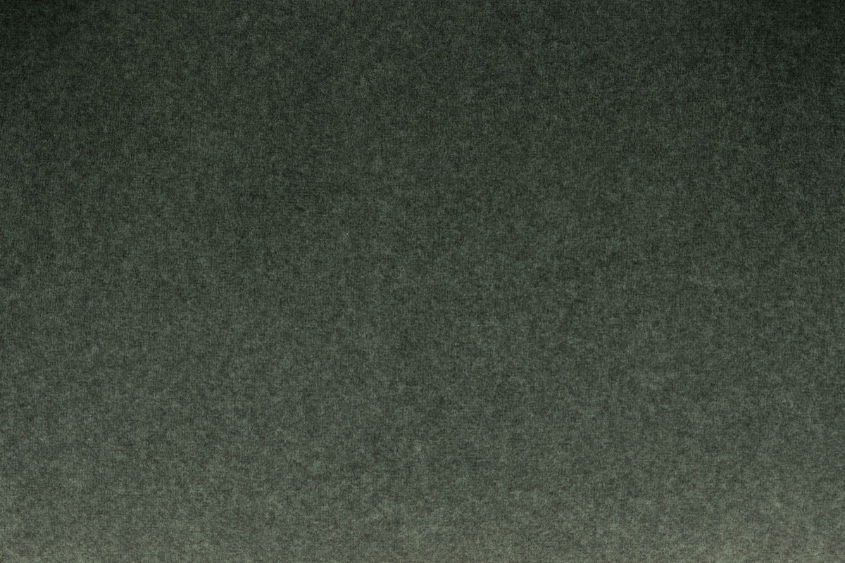 Grüner Polsterstuhl mit furniertem Holzgestell und gepolsterter Sitzfläche aus Pappelholz, Rückenlehne aus Polyester.
