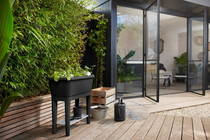 ELHO Anzucht Tisch Noa living schwarz in Living schwarz, Schwarz, 433 präsentiert im Onlineshop von KAQTU Design AG. Anzuchttopf ist von ELHO