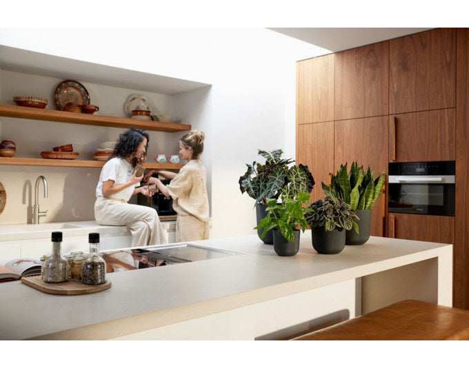 ELHO Pflanzengefäss Jazz rund ø 23 cm living schwarz in Living schwarz, Schwarz, 433 präsentiert im Onlineshop von KAQTU Design AG. Übertopf ist von ELHO