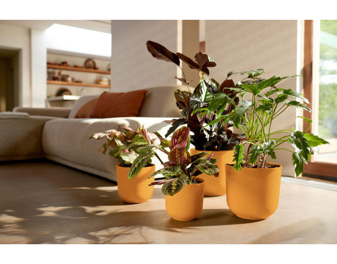 ELHO Pflanzengefäss Jazz rund ø 35 cm amber gelb in Amber gelb, Gelb präsentiert im Onlineshop von KAQTU Design AG. Übertopf ist von ELHO