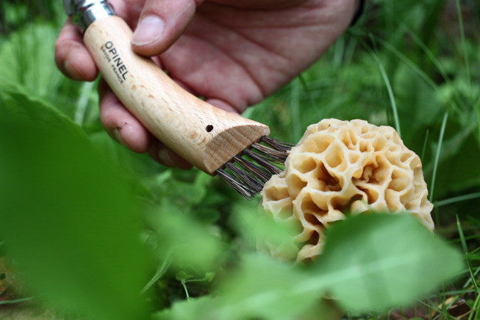 OPINEL Pilzmesser Nr. 8 Eichenholzgriff mit Etui in Holzbox 8 cm in Silber, Natur, Braun präsentiert im Onlineshop von KAQTU Design AG. Küchenmesser ist von OPINEL