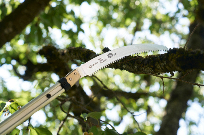 FELCO Stangensäge 340 cm mit Blatt 630/3 und Ersatzblatt 684/3 in Schwarz, Silber präsentiert im Onlineshop von KAQTU Design AG. Gartenscheren ist von FELCO