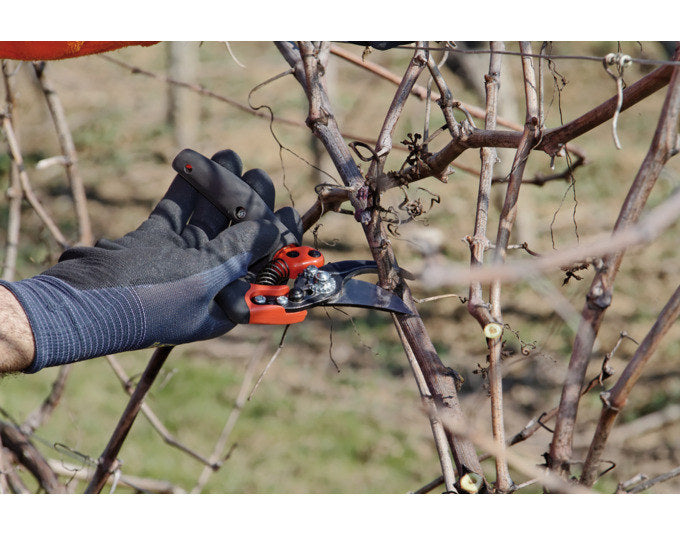BAHCO Rebschere PXR-M3 Ergo Rollgriff Schneidkapazität 3 medium in Schwarz, Rot präsentiert im Onlineshop von KAQTU Design AG. Gartenscheren ist von BAHCO