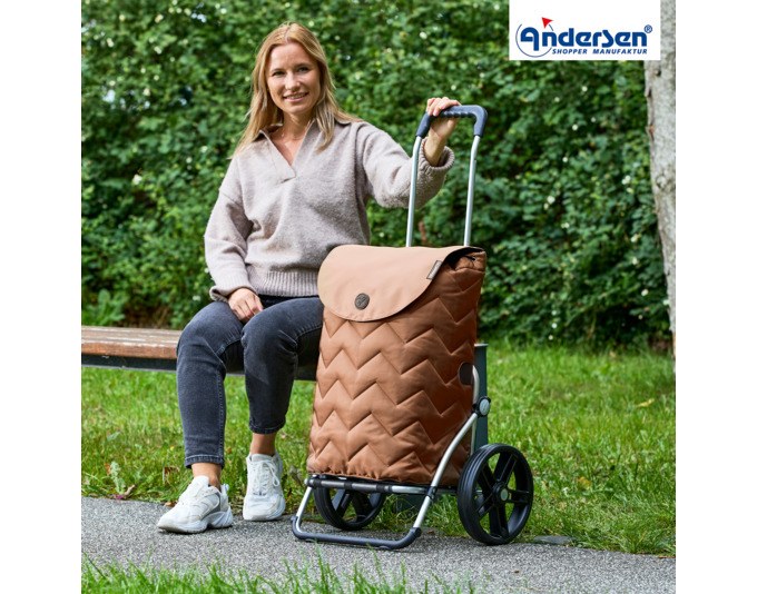 Brauner Einkaufstrolley mit Aluminiumgestell, grossen Rädern und abnehmbarer Stofftasche, Seitenansicht auf hellem Hintergrund.