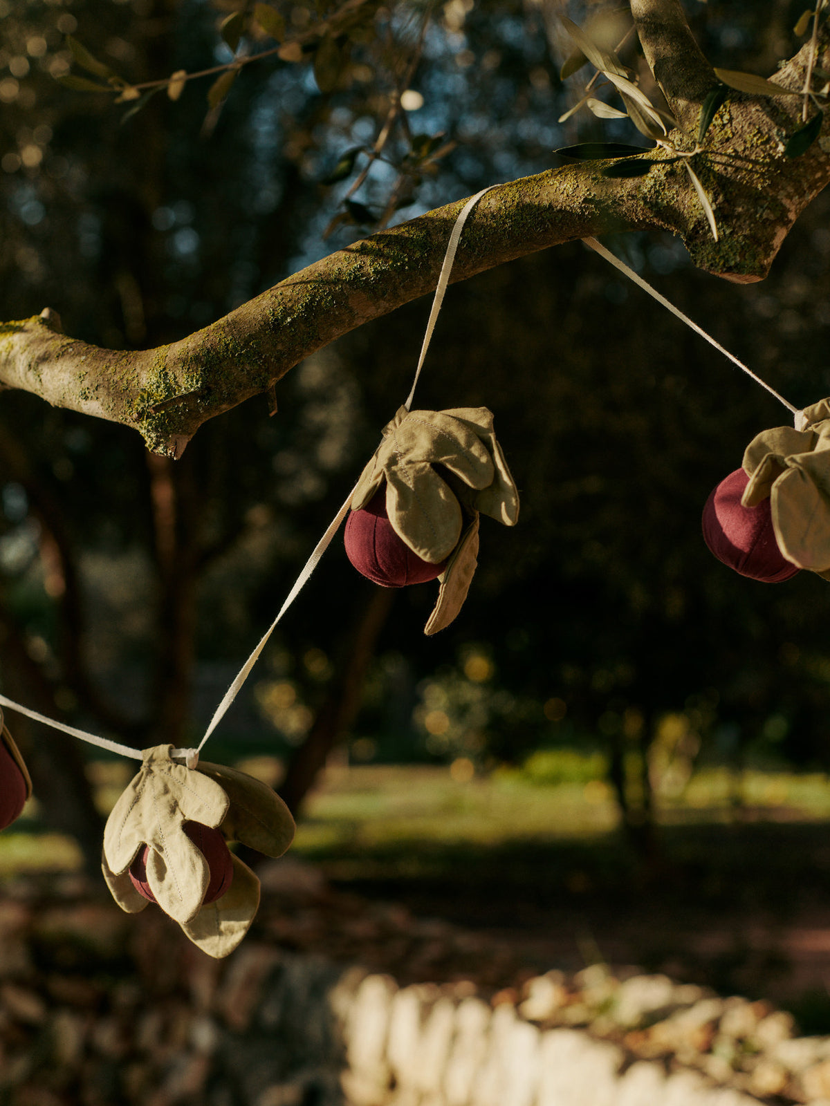 Figs Girlande in Mauve/Grün präsentiert im Onlineshop von KAQTU Design AG. Lampenkette ist von Ferm Living