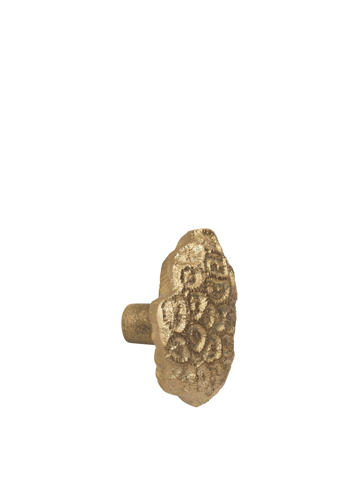 Comber Coral Haken in Messing präsentiert im Onlineshop von KAQTU Design AG. Kleiderhaken ist von Ferm Living
