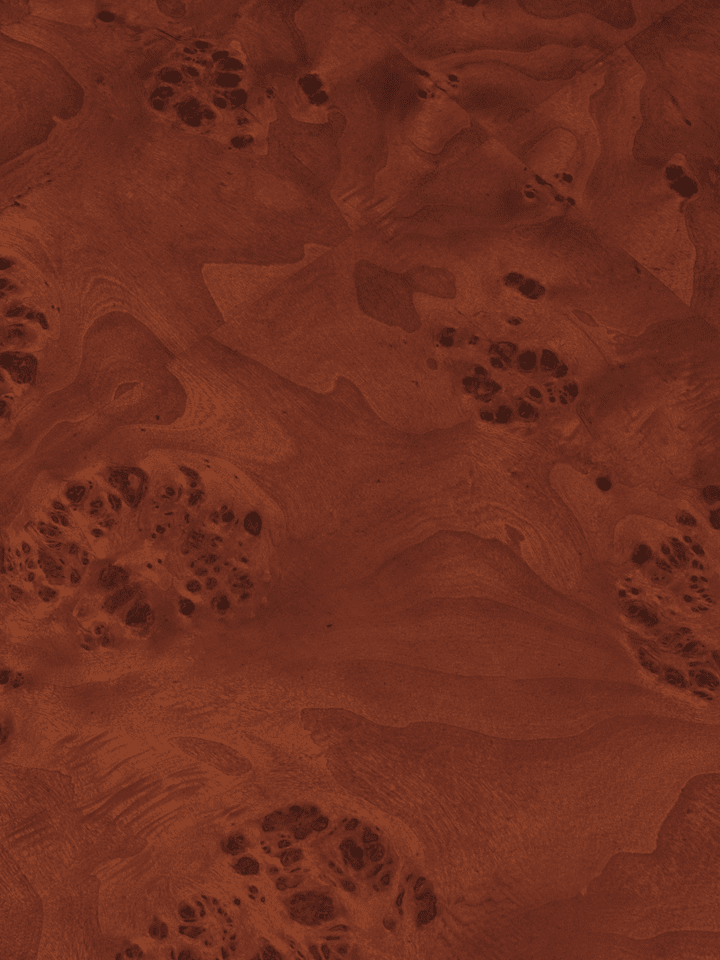 Burl Storage Couchtisch in Dark Stained Burl präsentiert im Onlineshop von KAQTU Design AG. Couchtisch ist von Ferm Living