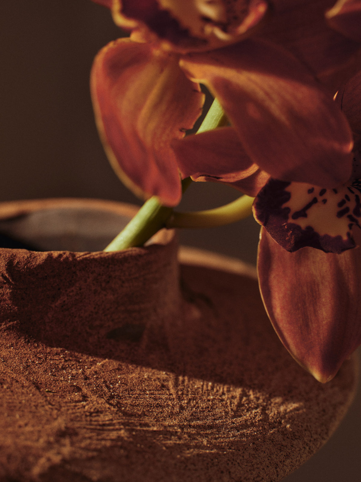 Evio Vase H22 in Burnt Umber präsentiert im Onlineshop von KAQTU Design AG. Vase ist von Ferm Living