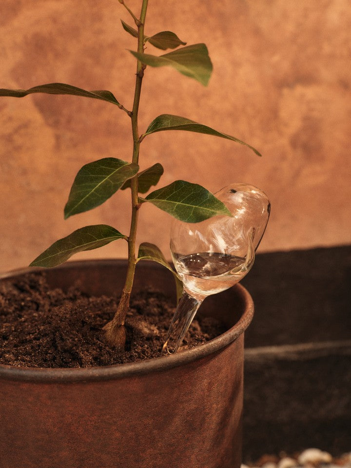 Mercury Water Globes Small Set of 2 in Clear präsentiert im Onlineshop von KAQTU Design AG. Pflanzentopfzubehör ist von Ferm Living