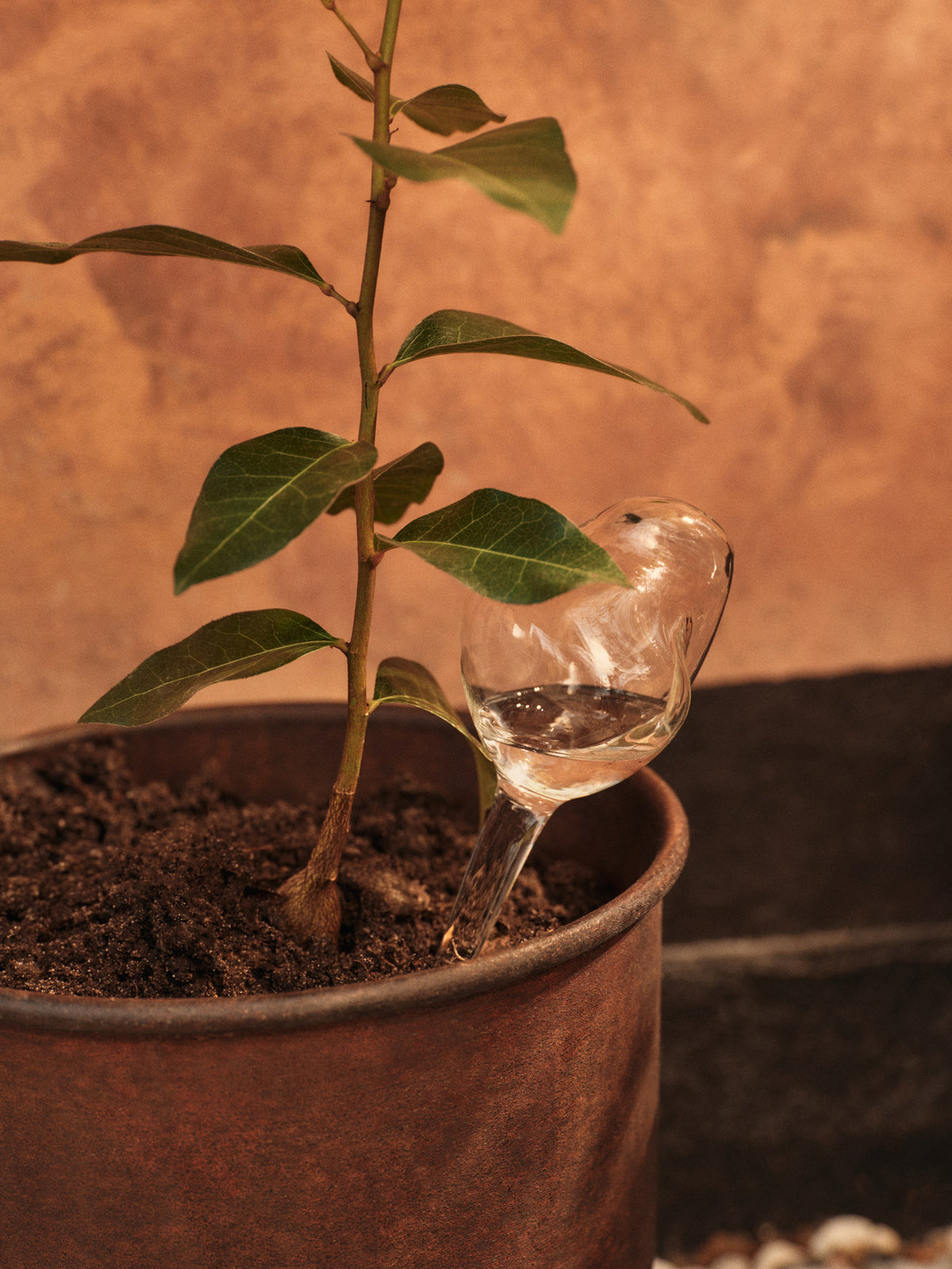 Mercury Water Globes Small Set of 2 in Clear präsentiert im Onlineshop von KAQTU Design AG. Pflanzentopfzubehör ist von Ferm Living